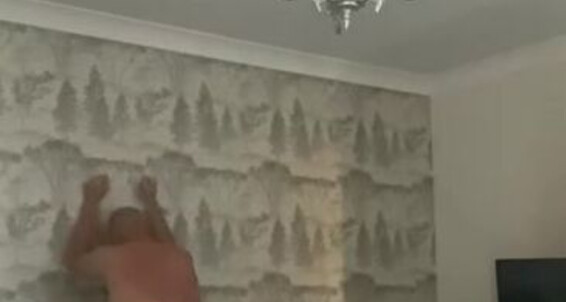 Miss Suzanna, Video: His Onlyfans Misssuzannamax Willybank9 Beaten Limits Own Living In I To Love Pushing Room