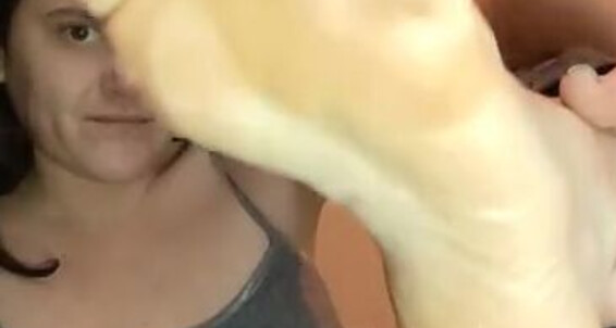Brandy Elliott - Each To Attention Paying Premiumbrandy My Self Onlyfans And I Green Blue Toes Get Suck Worship Sensually Lick Toe