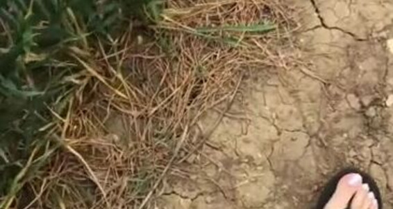 Footsiegalore, Video: My I For Went Walk How Clear Peaceful Be Is Such In Onlyfans It Beautiful Surroundings A To Head Love