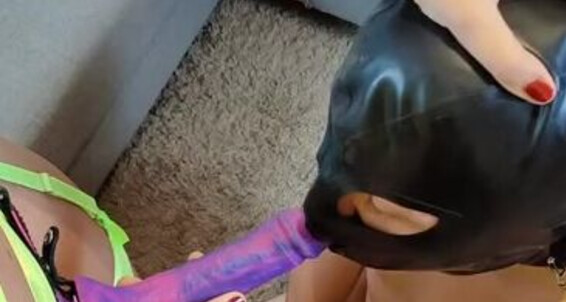Femdom Couple - Femdom Strap New To Cock Hot Slave While My Ordered 02 Femdomcouple Onlyfans 5 I 01 On Suck Bitch 2023 Video