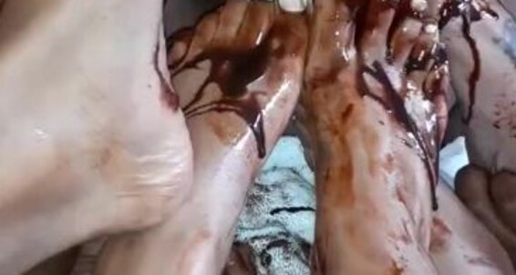 Ilovelaylafeet, Video: Ever We He Licking Enjoyed Chocolate Was The Feet About All Serious Onlyfans So Our Sucking 3 Syrup And Off