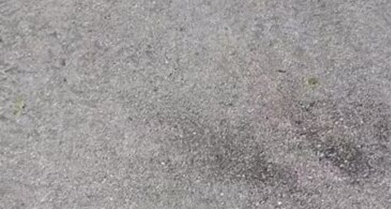 Goddess Nicole, Video: 16 Goddess Onlyfans Aka Good Video Soo Fetish 2024 Barefoot Nicolesgoddesssoles Feels Nicole Foot Walking 07