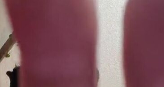 Poster for Kimmies Feet Waita Hellokimmiesfeet Aka Human Tiny Onlyfans Feet Kimmies