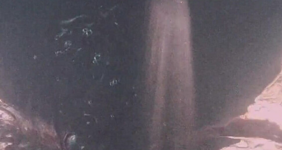 Invite 1080P And The In Me Pool My Naked I Carbaleon96 Neighbor Him Happened Finds This