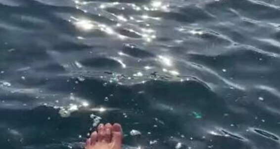 Evifeet, Video: Feet 03 Feeling Onlyfans Gentle The Waves Video My 2024 Kiss Dances Sun Water On 09 While