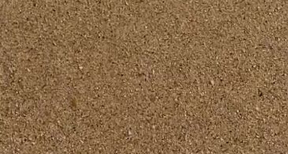 Evifeet, Video: Mood Atlantic Onlyfans