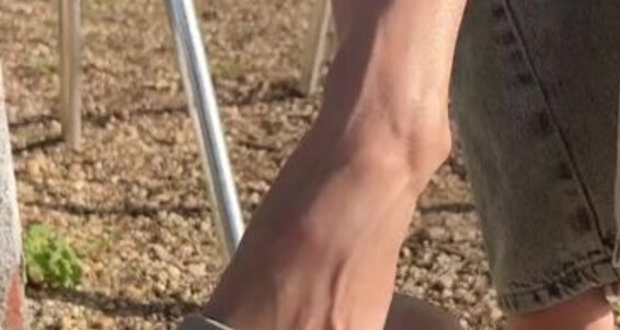 Evifeet, Video: Onlyfans Need Worshipper A For
