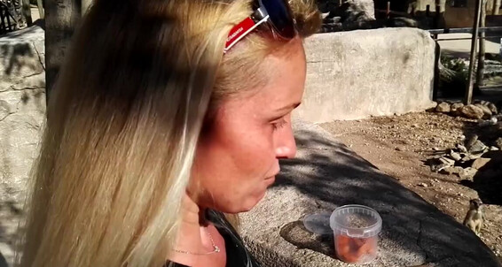 Kathia Nobili, Video: 23 Onlyfans Kathianobilixx Time Feeting 3 01 Video Findom 2018