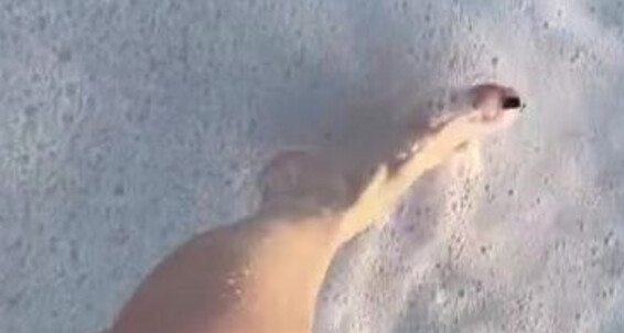 Dalia Maroe, Video: This Onlyfans Past Look The Behind My At A Birthday Beach Monday Missmaroe 7 Scenes Day