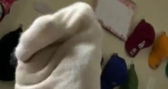 Dissatoes And Pedi New Remove Sock Onlyfans