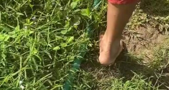 Goddessnutty2, Video: Feet Dirty Onlyfans My Worship 7