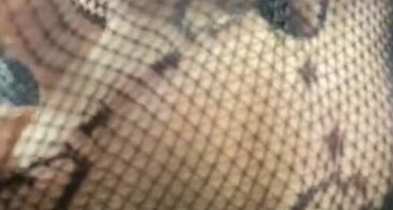 Goddessnutty2, Video: Feet Onlyfans My Worship