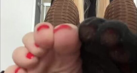 Poster for Socksfeet Misstress 2024 23 Sweating Smell My Nina All Have Like 03 Onlyfans What A Socksfeet It Been Day Come Feet Misstress