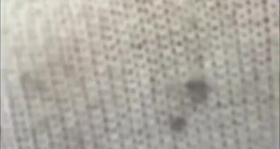 Poster for Socksfeet Misstress 2024 27 My Nina So For I 03 Onlyfans Put Socksfeet They Much Into Sweat Day That And Effort Socks Every Feet Misstress