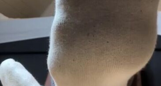 Socksfeet Misstress - It 2024 Im Short To Yes Done 09 Smell 16 Onlyfans Do When Like I With Nina Misstress Want You Socks Socksfeet