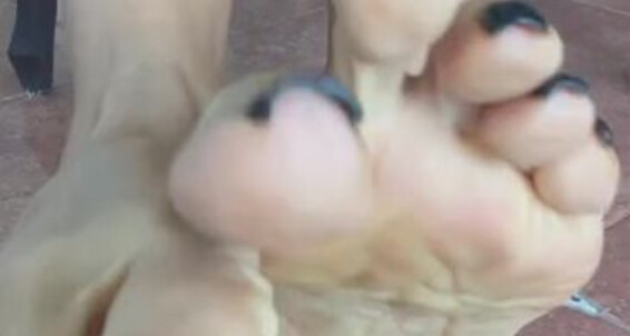 World Sexiest Feet - A Your Love And You So Worldsexiestfeet Much Onlyfans Gift Support Guys Thank For
