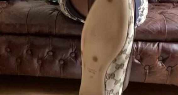 World Sexiest Feet, Video: Are Way Onlyfans These Gucci The My Worldsexiestfeet Fans To On Lovely One