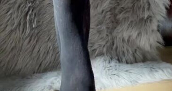 World Sexiest Feet - Video Worldsexiestfeet Onlyfans 698