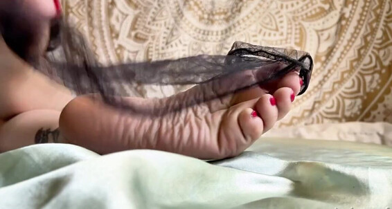 Catprincess - Removal Long Red As U Sheer 3 Foot My Onlyfans Comparison Watch And I Tease With Toes Catprincessfeet Sock Nylon