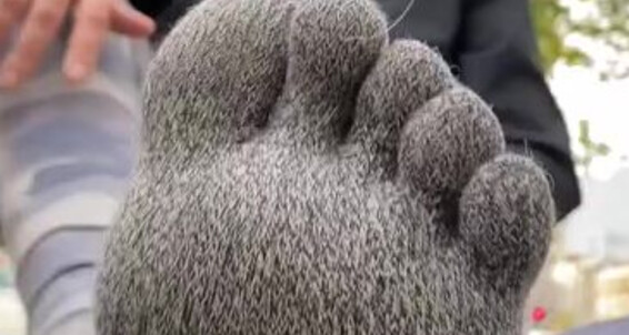 Catprincessfeet Feets 2 Always Onlyfans