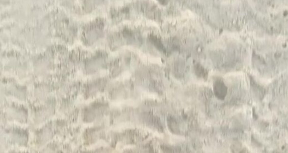 Catprincess, Video: Wanna Walk Onlyfans Me The Sand With Barefoot In Catprincessfeet