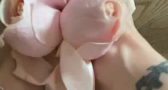 Catprincess - A Catprincessfeet Bitwhich Your Always Is Played Ready 1 Onlyfans Favorite Feet