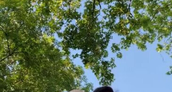 Catprincess, Video: 4 Feetare Park Onlyfans Staring Catprincessfeet U