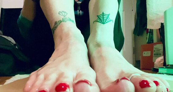 Catprincess - Catprincessfeet Onto Slip You Onlyfans