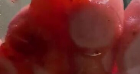 Catprincess, Video: Feet 2 Onlyfans Strawberry Forever Catprincessfeet