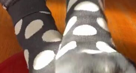 Catprincess - Love You Feet Onlyfans 2 Oily Catprincessfeet If Tip