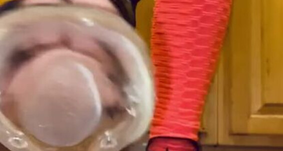 8 Catprincessfeet Dose Nylon Onlyfans Socks Todays Of