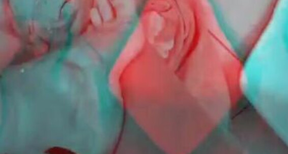 Catprincess, Video: Video 3 Catprincessfeet Onlyfans