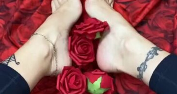 Catprincess - 36 Video Catprincessfeet Onlyfans