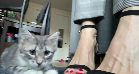 Catprincess, Video: 18 Dirty Get Me Onlyfans The See At Office Tip If Catprincessfeet Ud 1 Set Wanna Heels Thoughts
