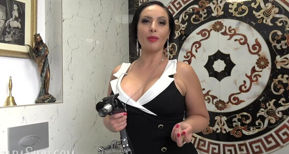 House Of Sinn - A From Scott Wall Houseofsinn Lockable My Upcloseandpersonal Gag Designs Tool Training Onlyfans Boys In Great Mounted