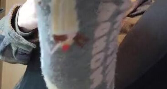 Megan Fletcher, Video: Sweetsoleprincess Smell Onlyfans Me Gym Aka You Want My Shoes And Megan Do To Socks Sweaty Fletcher Force