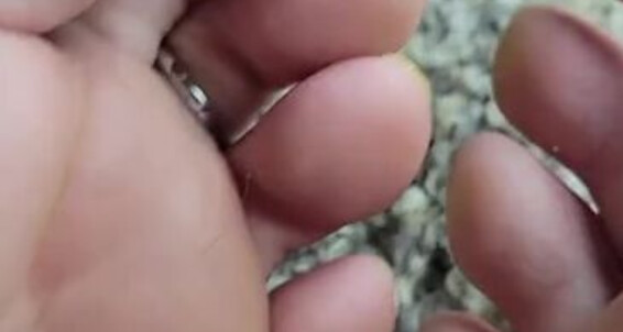 Megan Fletcher, Video: Sweetsoleprincess An Extreme Onlyfans Aka My Soles Toes Close And Megan A Up Of Ive Requested Fletcher