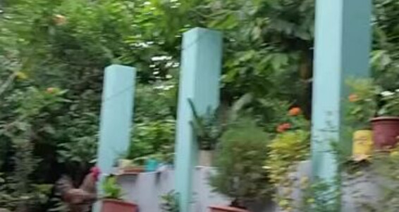 Solesqueenrd, Video: Meryann Onlyfans Aka Why The Nature Thats Countryside Ive I To Love Moved