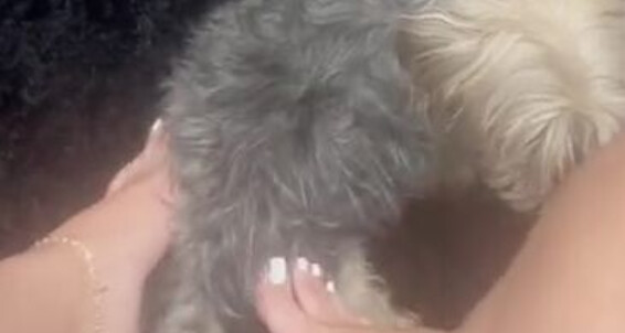 Feetbyselms, Video: Feet Onlyfans Zoe My Too Loves