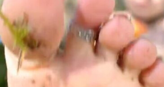 Around Onlyfans It Spring Dirtyfeetlover Gothis We Fairy All Here Flying Freakyfjondaxxx And Working Been Is Day As