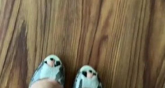 Janet Mason, Video: New Onlyfans Black High Toenail 4K Polish And In Tease Janetmasonfeet Heels U
