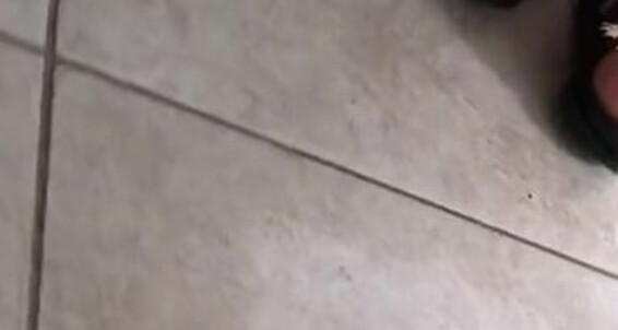 Pezinhos - Da Like This Aka You Onlyfans Amorafeetofc Shoeplay Amora Do