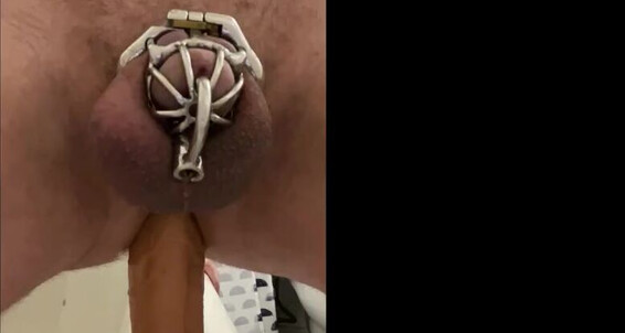 Silkysolesyyc - Has Long Training Anyone Onlyfans Time Know Working A Is Who Anal On Yyc Cuckold You Fan Some Been For