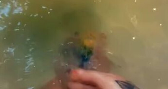 Latinamarina, Video: Feet Bath After Onlyfans Adored Pride Was My Whole Softtttttt 1 Bomb Body This