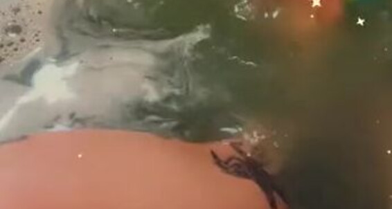 Latinamarina, Video: Feet Bath After 2 Onlyfans Adored Pride Was My Whole Softtttttt Bomb Body This