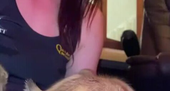 Vivienne L Amour, Video: Onlyfans They Re Aka Vlproductionsuk Duck Getting Baby Updates 1 L Vivienne Amour Big