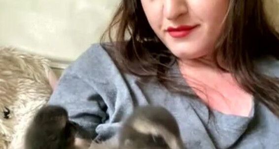 Vivienne L Amour - 0520 Vlproductionsuk Aka At Stream 06102020 Amour L Started Onlyfans Vivienne
