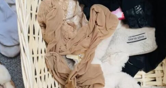 Missesdiscreets, Video: Sale Onlyfans Aka The Queen 1 Of For Sole