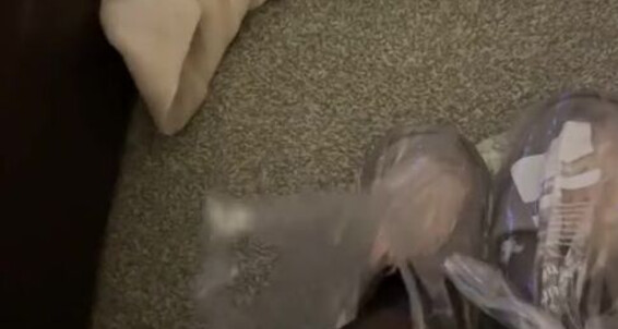 Missesdiscreets, Video: Onlyfans That Aka Look The Queen Sweat At All Of Sole