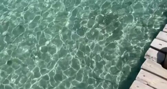 Missesdiscreets, Video: My T Aka The Queen Sole Such Perfect Ndu Feet 4 Onlyfans Beautiful Show A Water To Of Off Day Isn